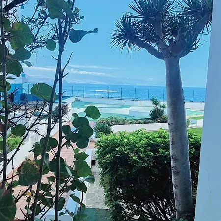 Cerca Del Mar En Mesa Del Mar * 타코론테